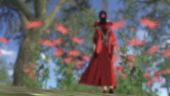 <b>为什么女游泳运动员看起来大部分都是平胸？</b>